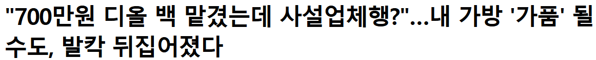 '700만원 디올 백 맡겼는데 사설업체행?'…내 가방 '가품' ...